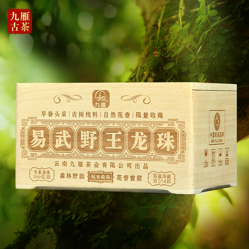 九雁2024年野王单芽易武深山老林变异型古树茶 生茶龙珠 500克/箱