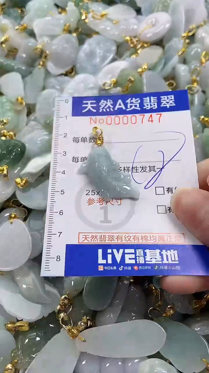 颈饰未镶嵌翡翠纯天然货翡翠