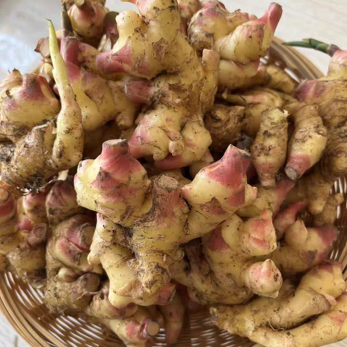 农家青黄嫩姜   边境收山货