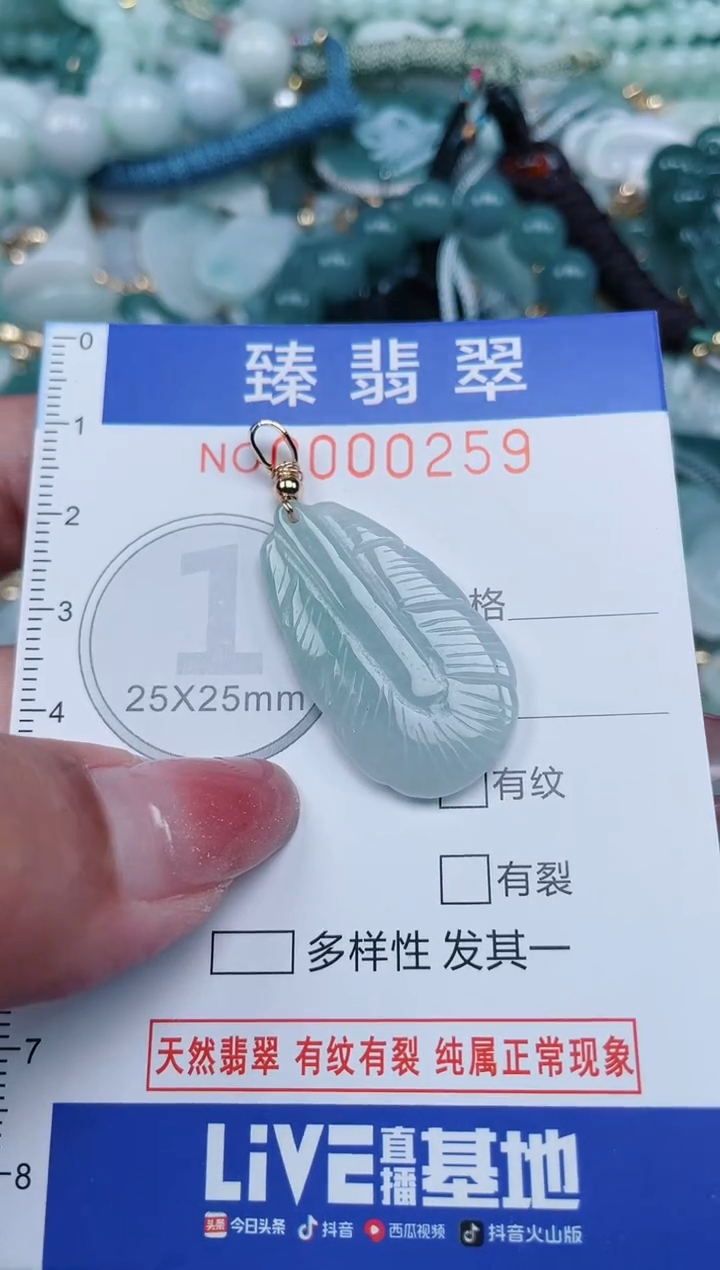 【闪购商品】翡翠颈饰未镶嵌.0000259