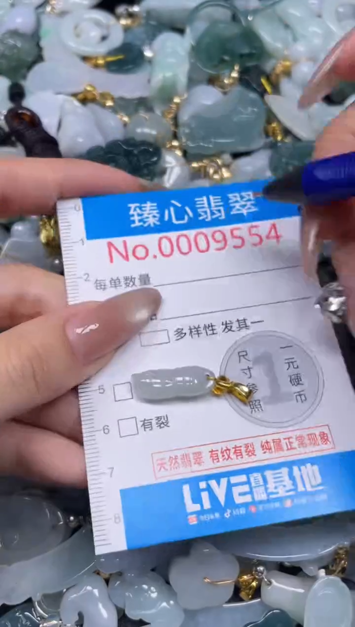 颈饰未镶嵌翡翠9554