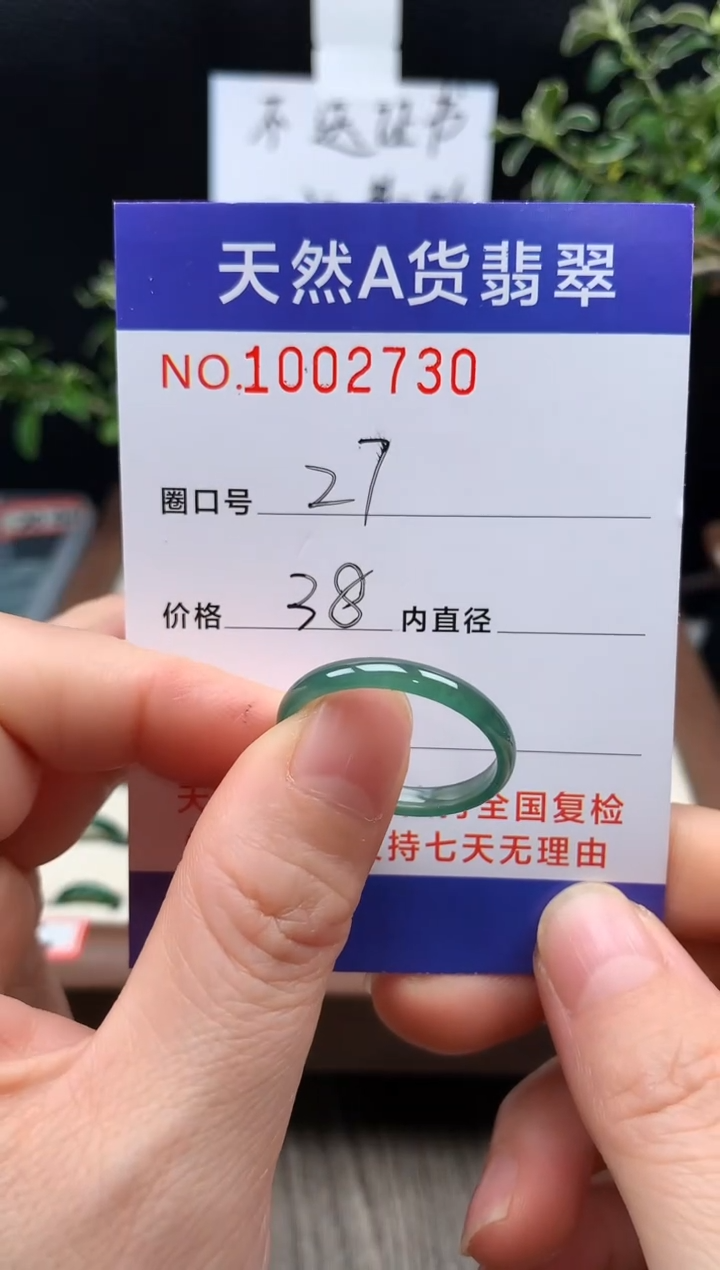 未镶嵌戒指翡翠1***827#