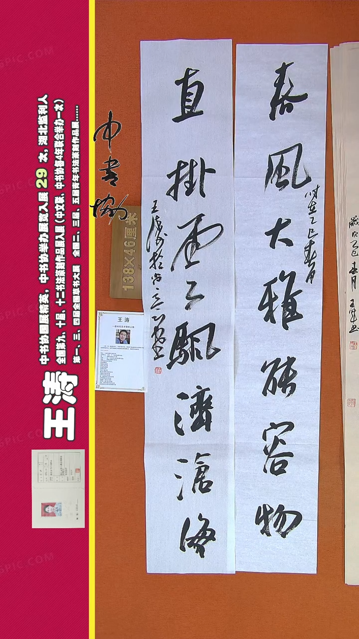【闪购商品】书法244王涛书法作品