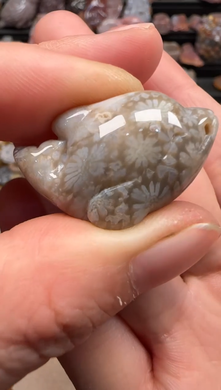 【闪购商品】硅化珊瑚（珊瑚玉）颈饰未镶嵌095