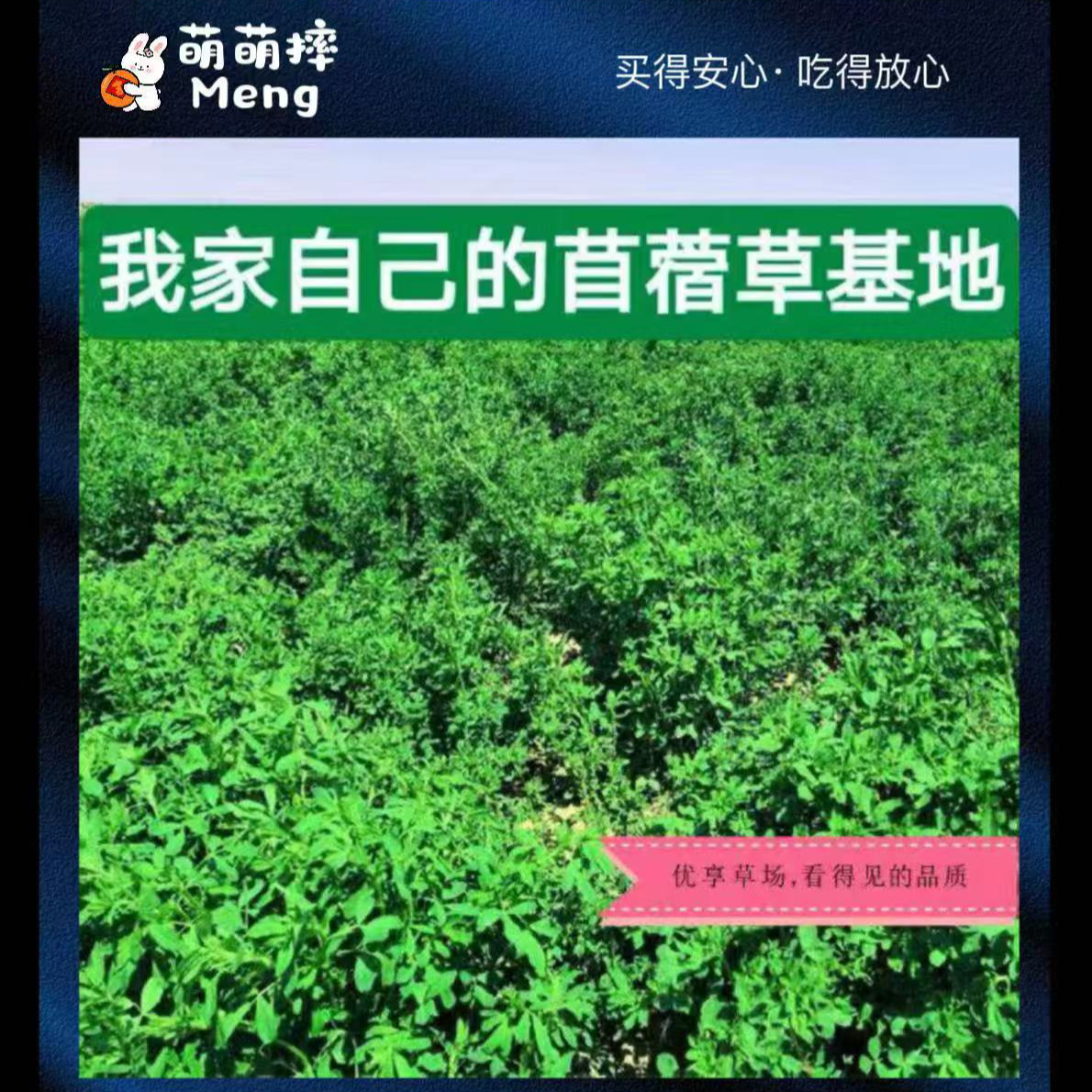 苜蓿草 兔子龙猫牧草兔粮豚鼠饲料干草毛重1000克