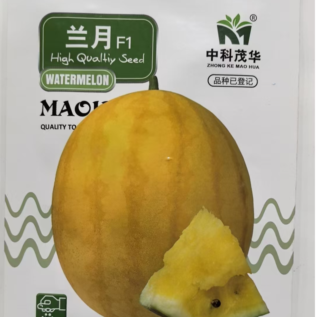 50粒茂华兰月西瓜种子好吃商品性好