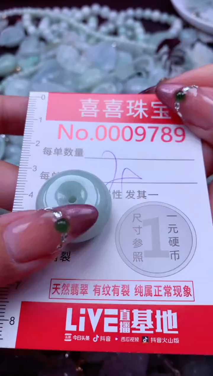 颈饰未镶嵌翡翠9789