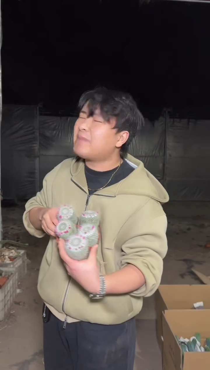 5颗 单头 玉翁【带雪顶】4-6cm