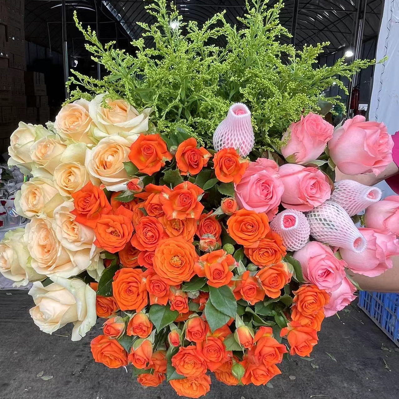 【香槟玫瑰爆款】香槟玫瑰10枝+粉玫瑰10枝+橙芭比3枝+配草云南鲜花