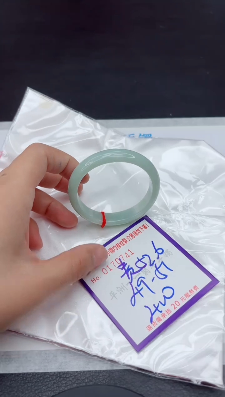 未镶嵌手镯翡翠1111111