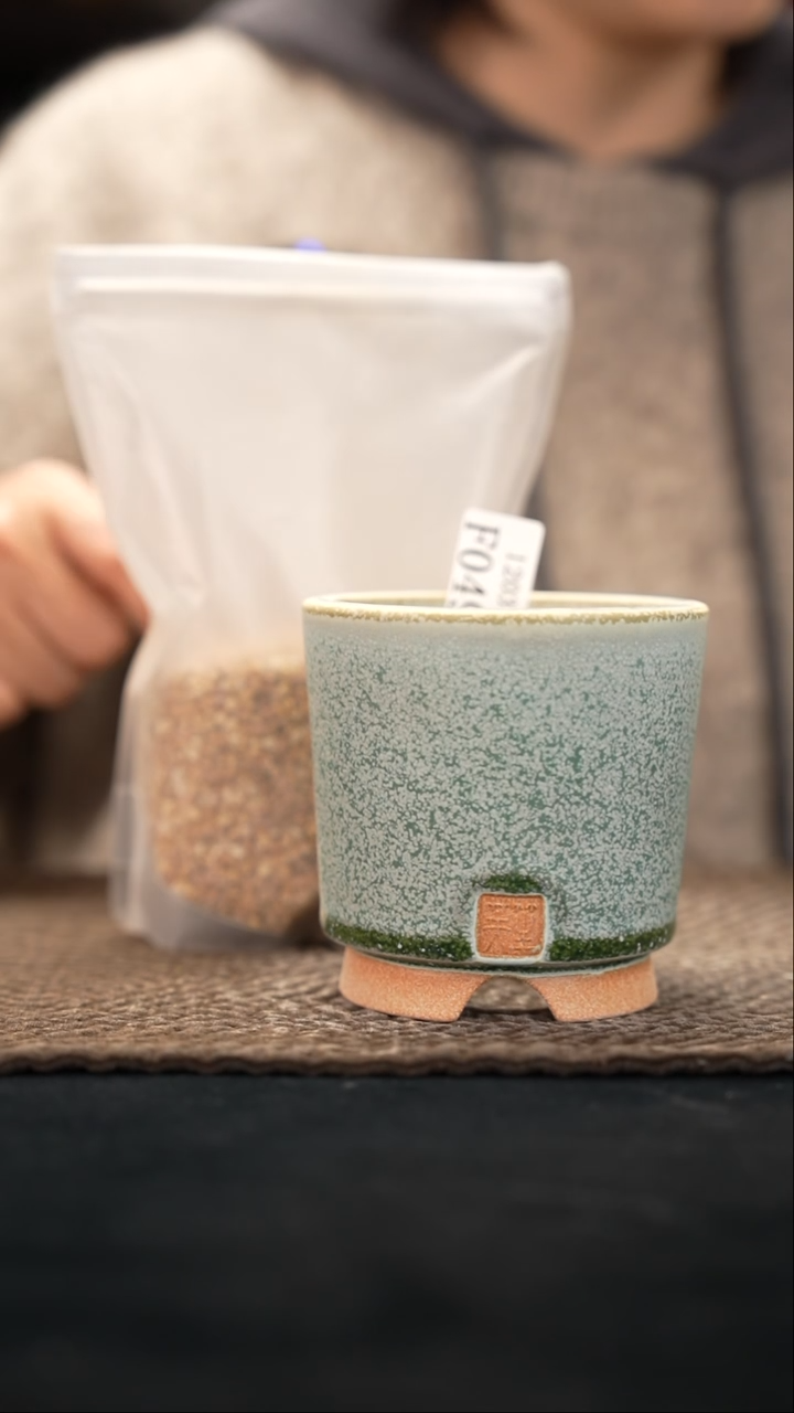 口径8花盆-12-3-049送麦饭石/特