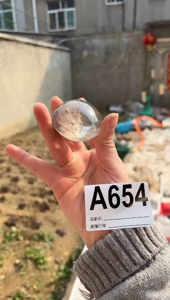 【闪购商品】水晶摆件未镶嵌幽灵　654