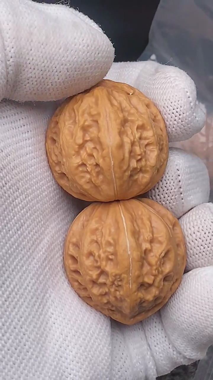 【闪购商品】文玩核桃把件玉龙粗筋