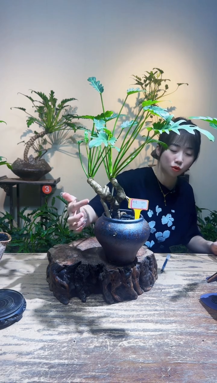 无花朵劝**柔龙鳞小天使138