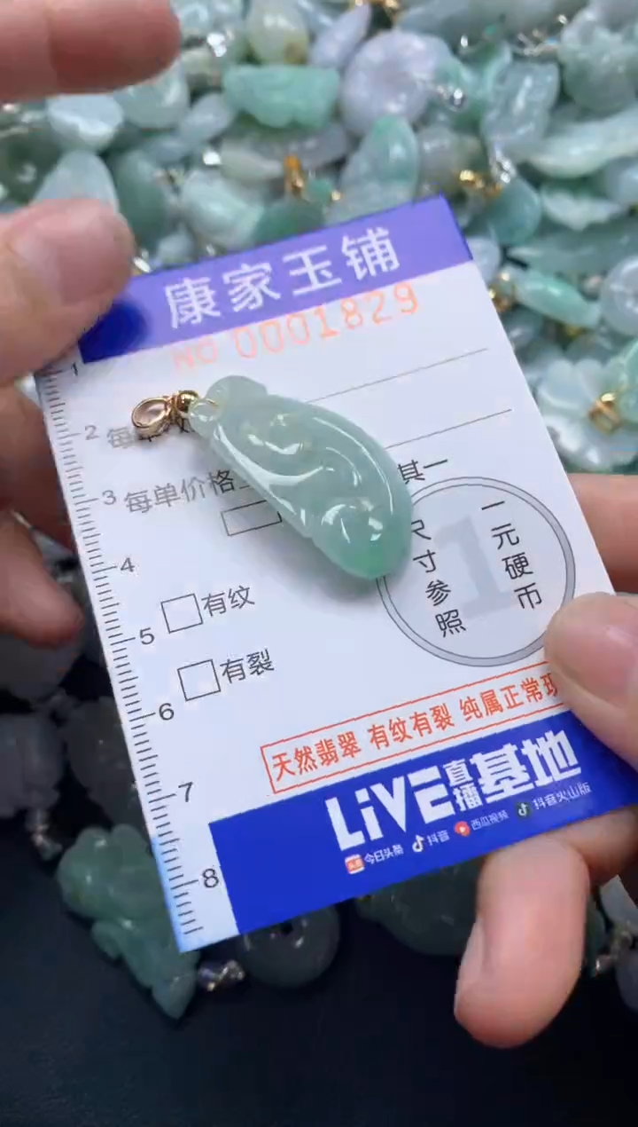 颈饰未镶嵌翡翠1829