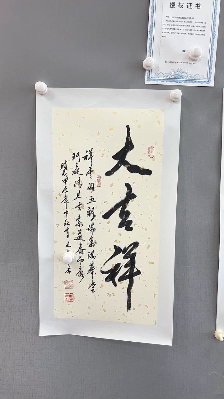 【闪购商品】书法雅艺典藏文化书法