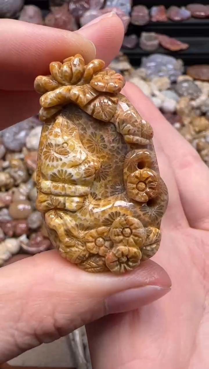 【闪购商品】硅化珊瑚（珊瑚玉）颈饰未镶嵌447