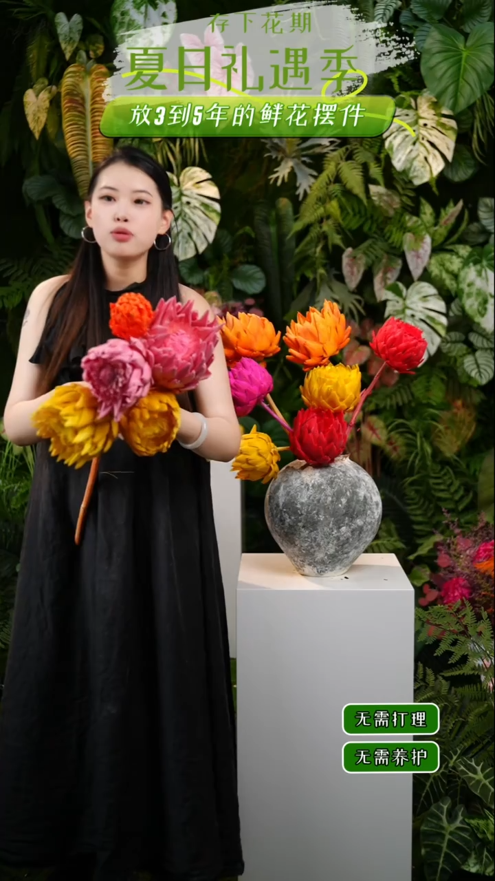 永生花洋蓟2粉2柠檬黄带一个小头爱马仕橙洋蓟不售后
