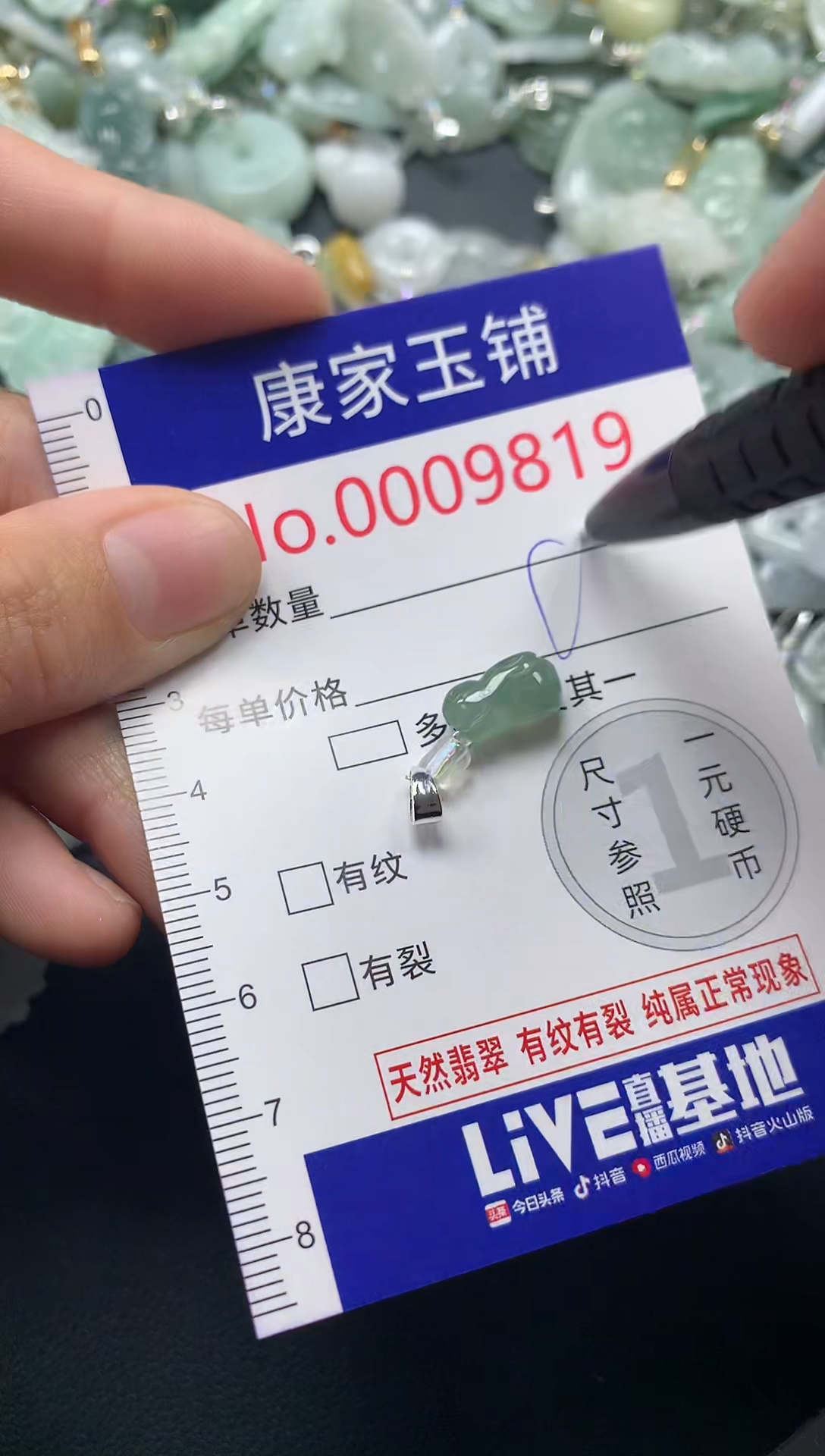 颈饰未镶嵌翡翠9819