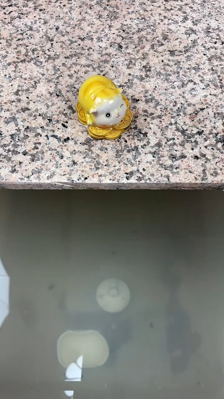 招财猫茶宠招财猫茶宠招财猫茶宠招财猫