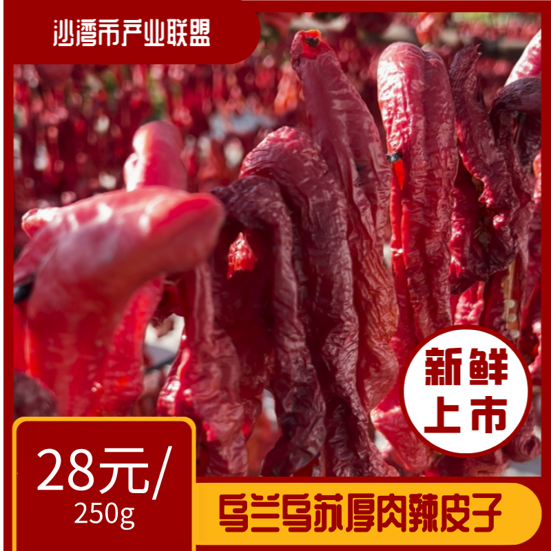 【人工晾晒】新疆乌兰乌苏厚肉辣皮子微辣香甜自然晾晒干辣椒正宗