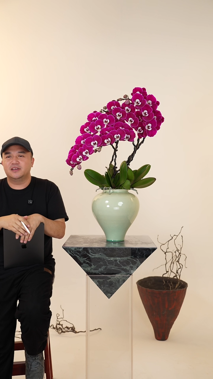全部花朵013号【一物一拍】蝴蝶兰