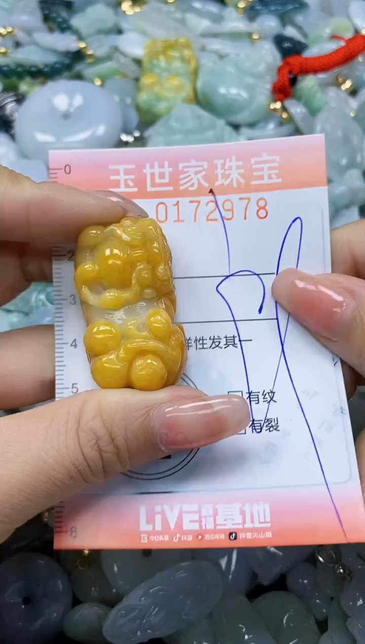 【闪购商品】翡翠颈饰未镶嵌闪购0172978