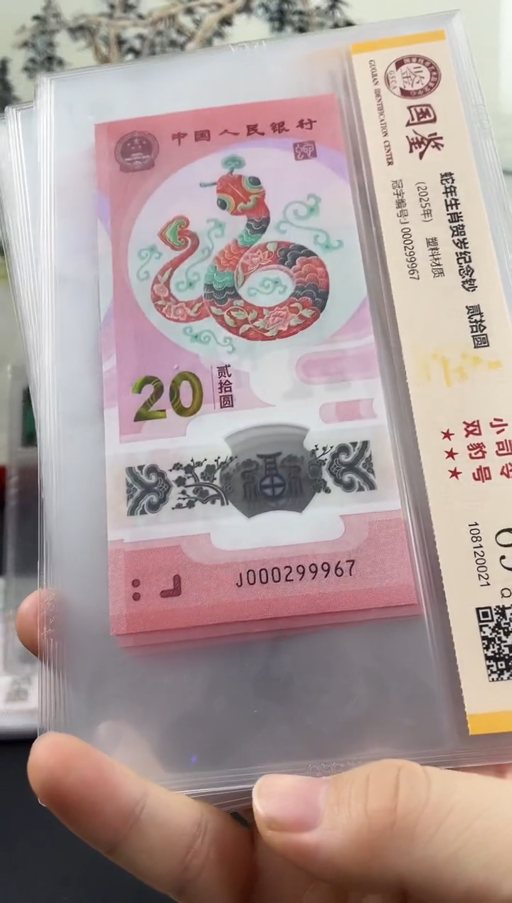 塑料蛇钞副司令69分无4，，