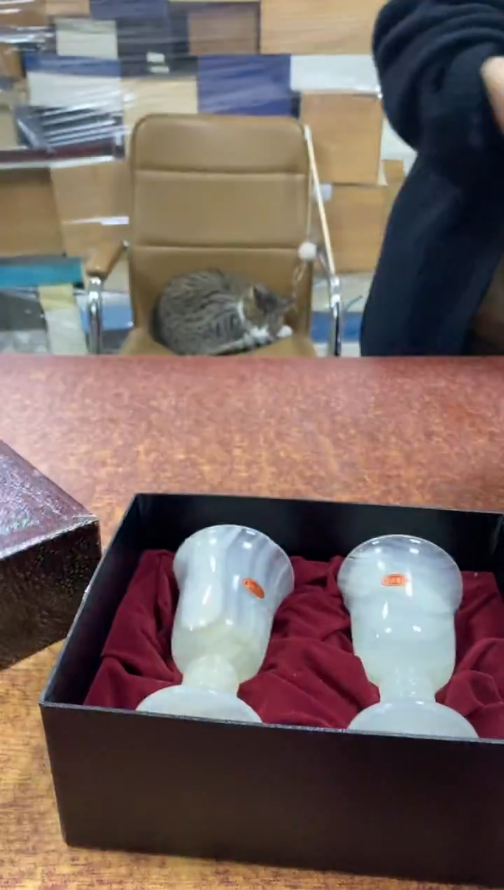 瓷片325小林轩欢迎您