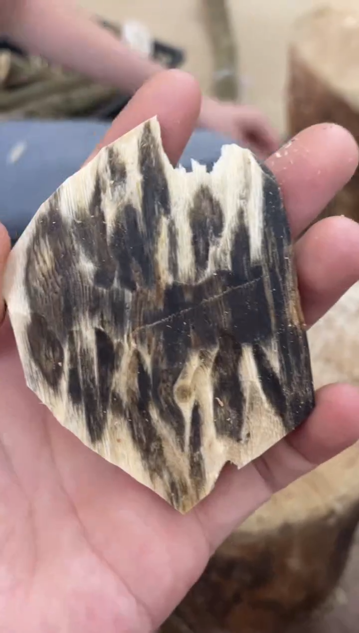 沉香沉香碎屑棋楠沉香 原料文创1