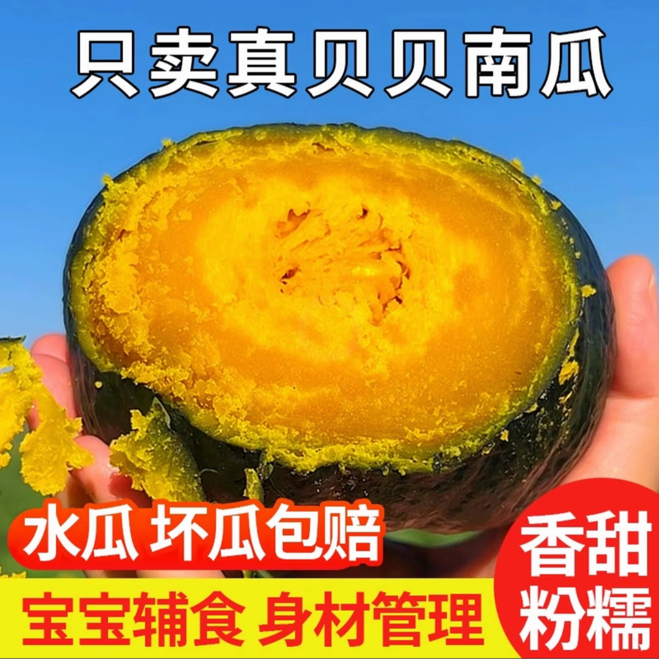 贝贝南瓜粉糯香甜小南瓜板栗味适合孕妇宝宝辅食