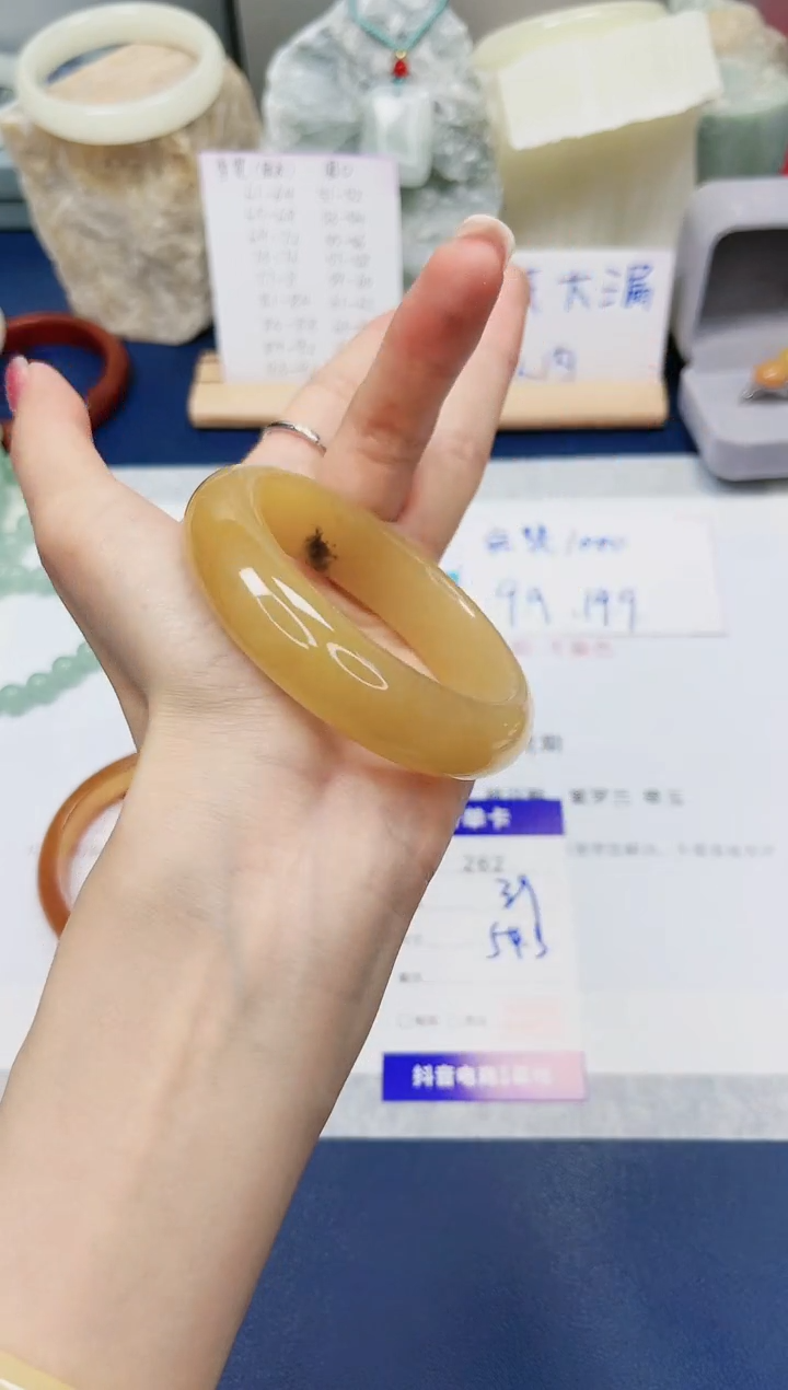 【闪购商品】石英质玉手镯未镶嵌262-财气镯-圈口54