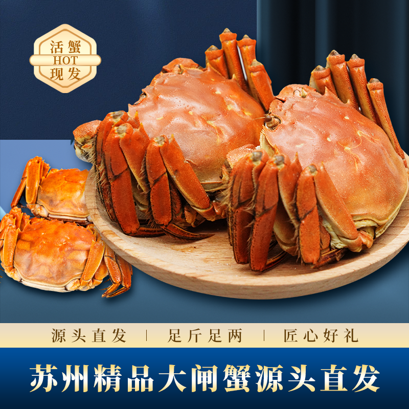 【活蟹现发】全母蟹4只-10只装（2.3-2.8两）大闸蟹顺丰京东包邮