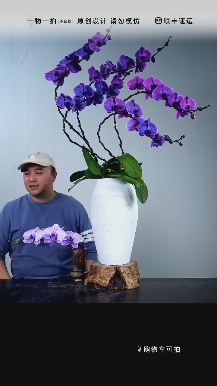 【闪购商品】028号链接【一物一拍】艺术盆景