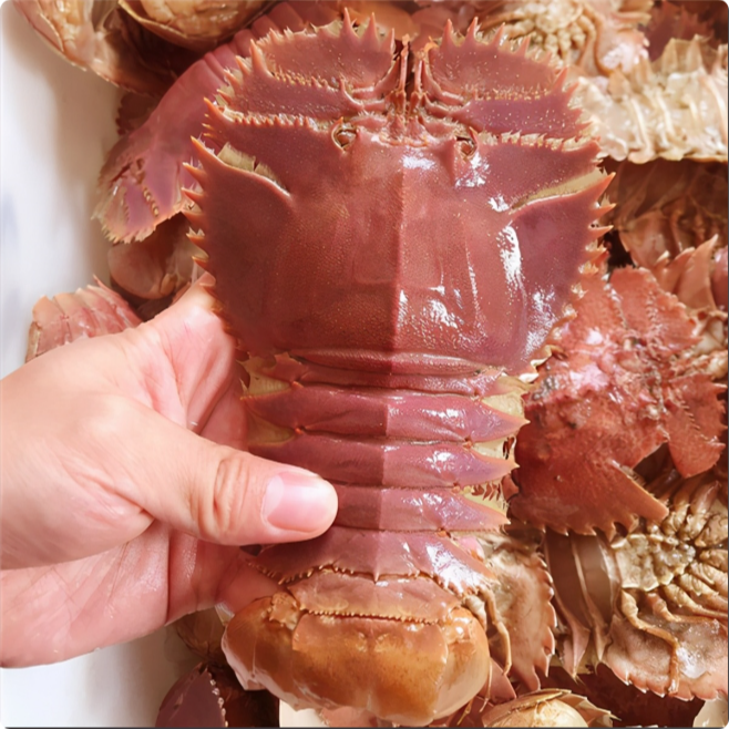 【小林优选/新疆包邮】东海台州鲜香海鲜琵琶虾1000g【保鲜不包活】