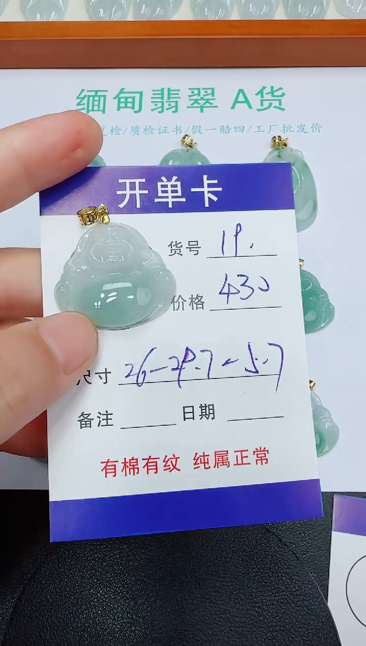翡翠未镶嵌吊坠(赠链)19
