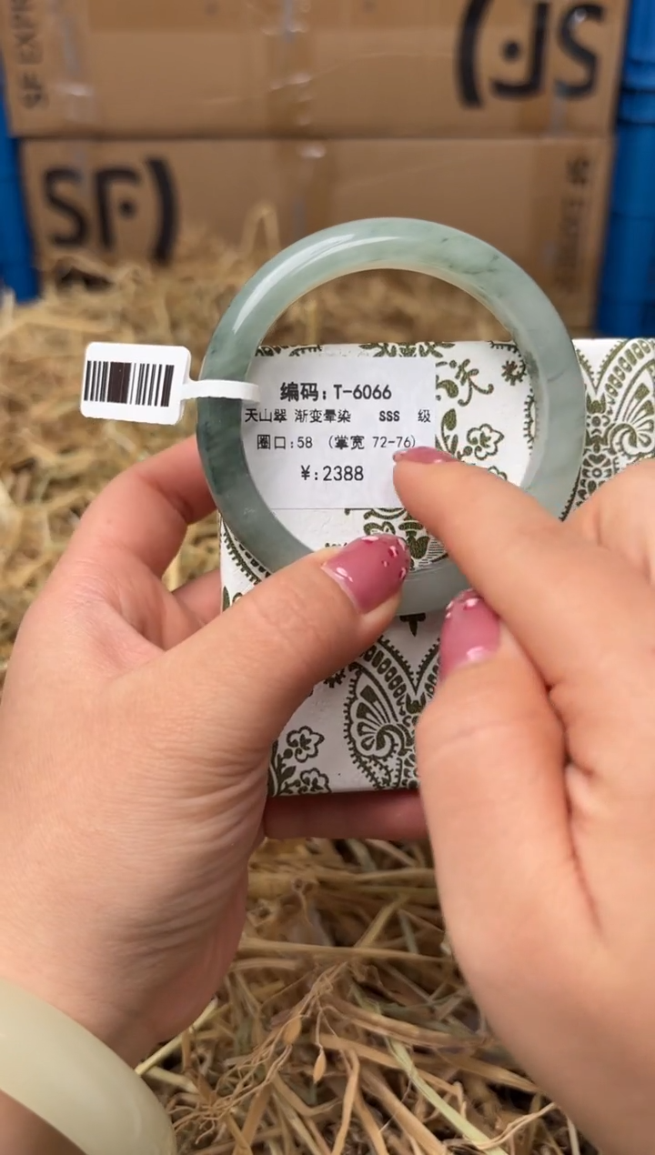 未镶嵌手镯石英质玉T-6066