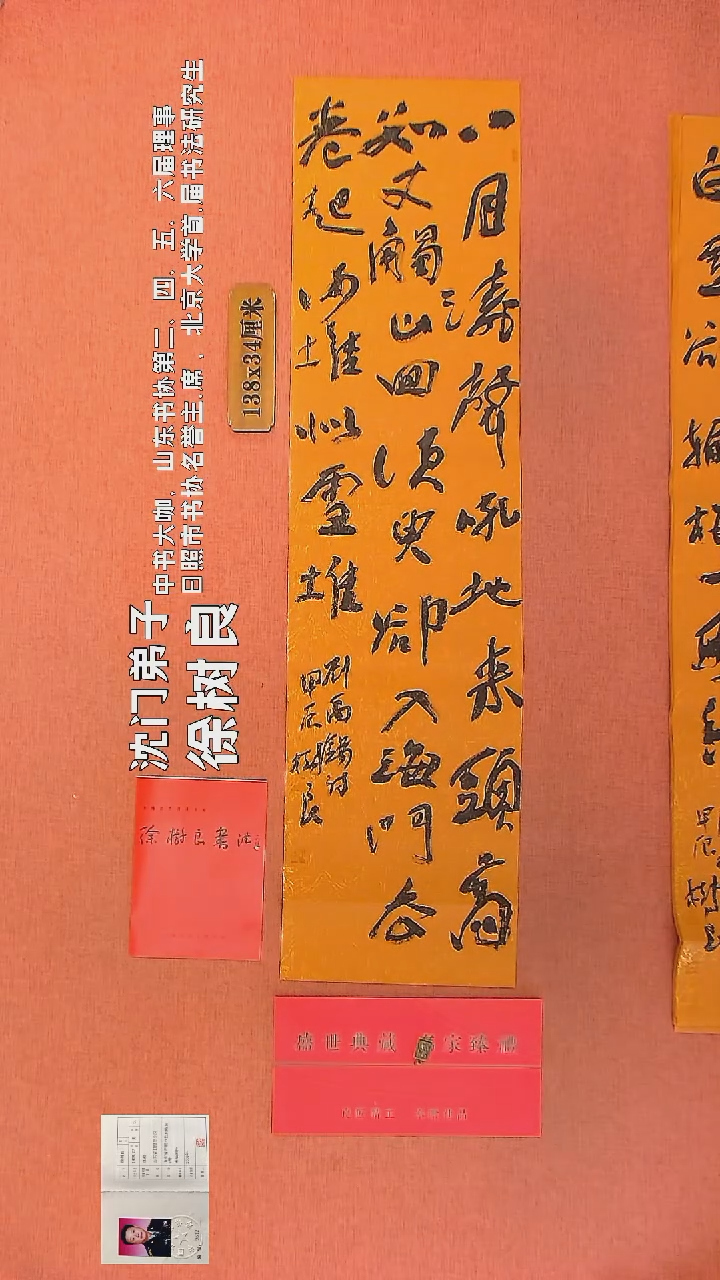 【闪购商品】书法31      徐树良书法作品