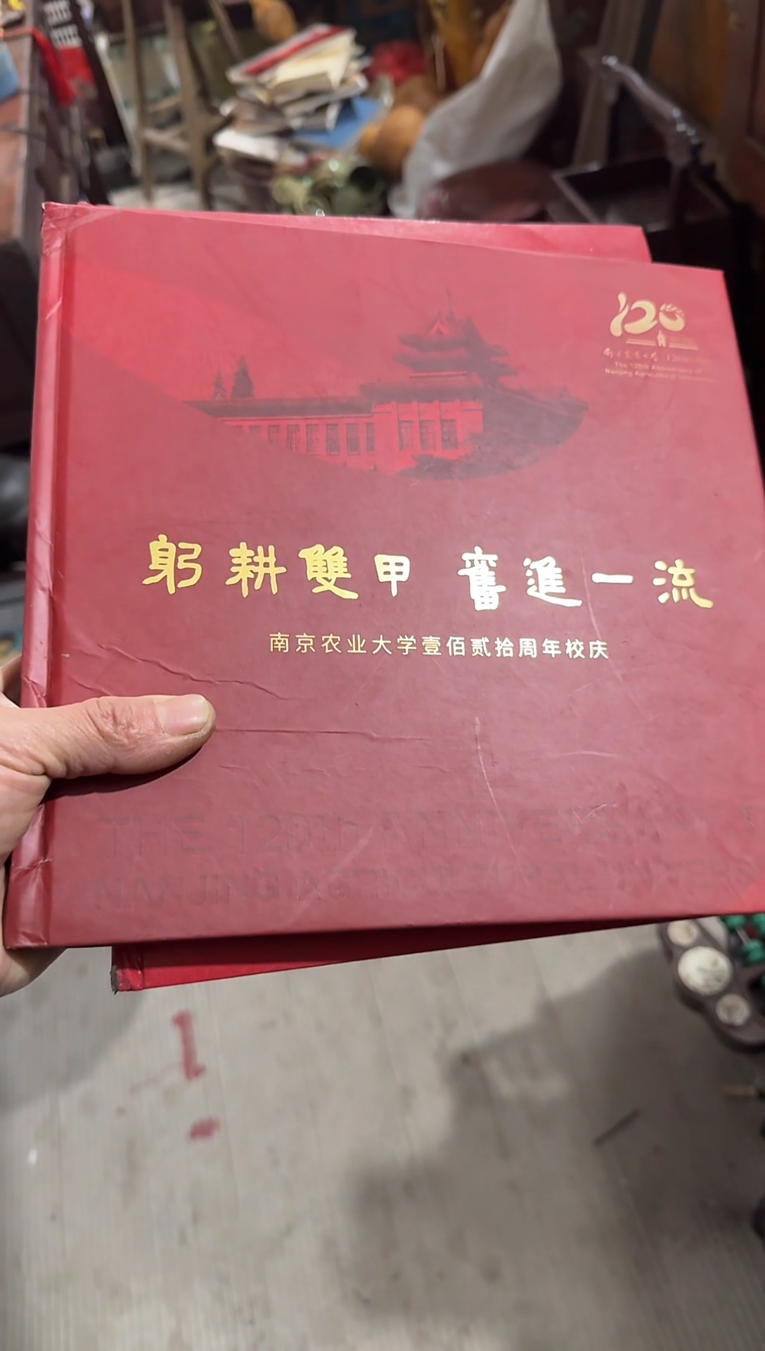 茶壶紫砂僮*直播闪购改价链接
