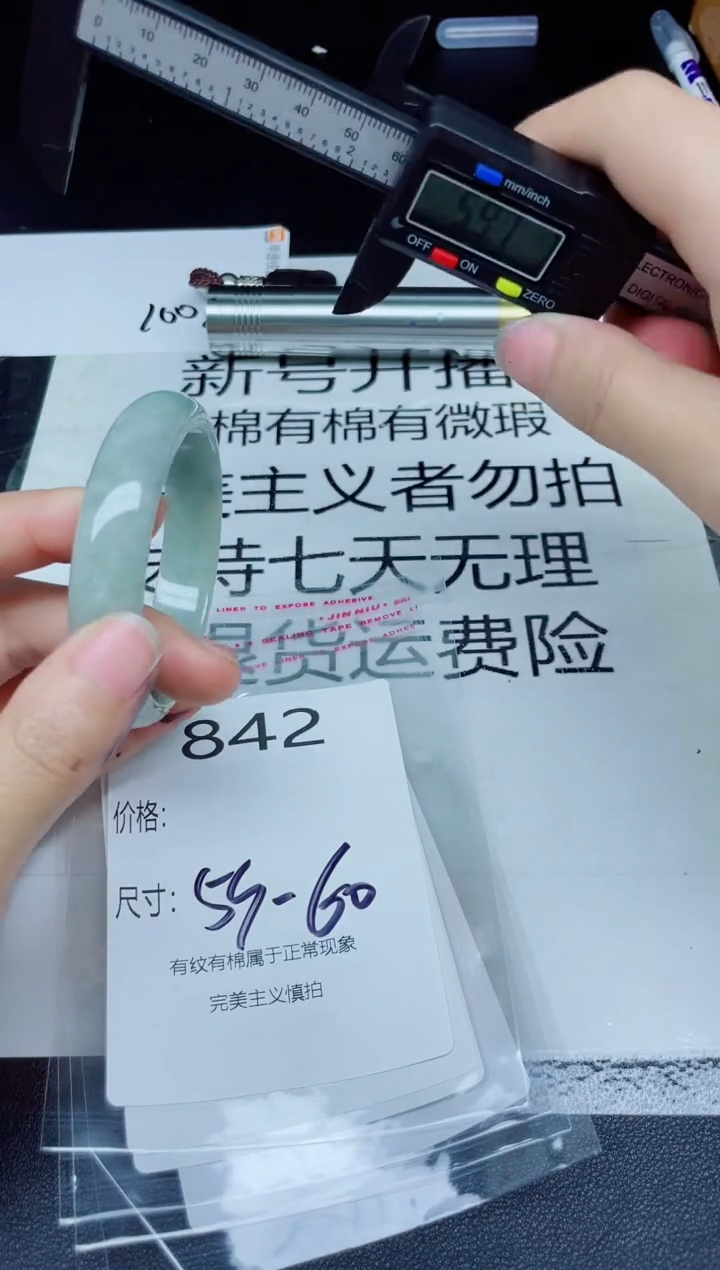 未镶嵌手镯翡翠842