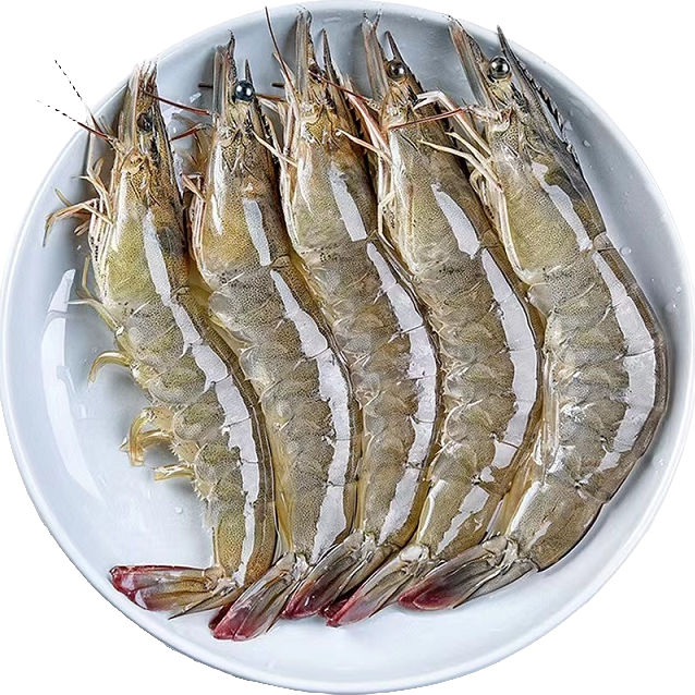 2030特大号 新鲜海洋大虾现货速冻一盒/4斤  55-65只    顺丰次日达