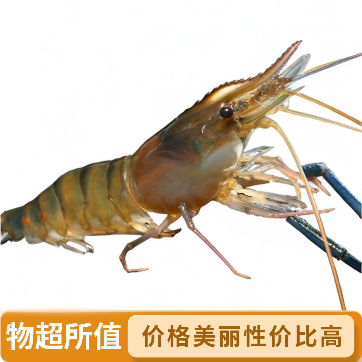 鲜活速冻罗氏虾液氮锁鲜冷链发货（买3斤送1斤）