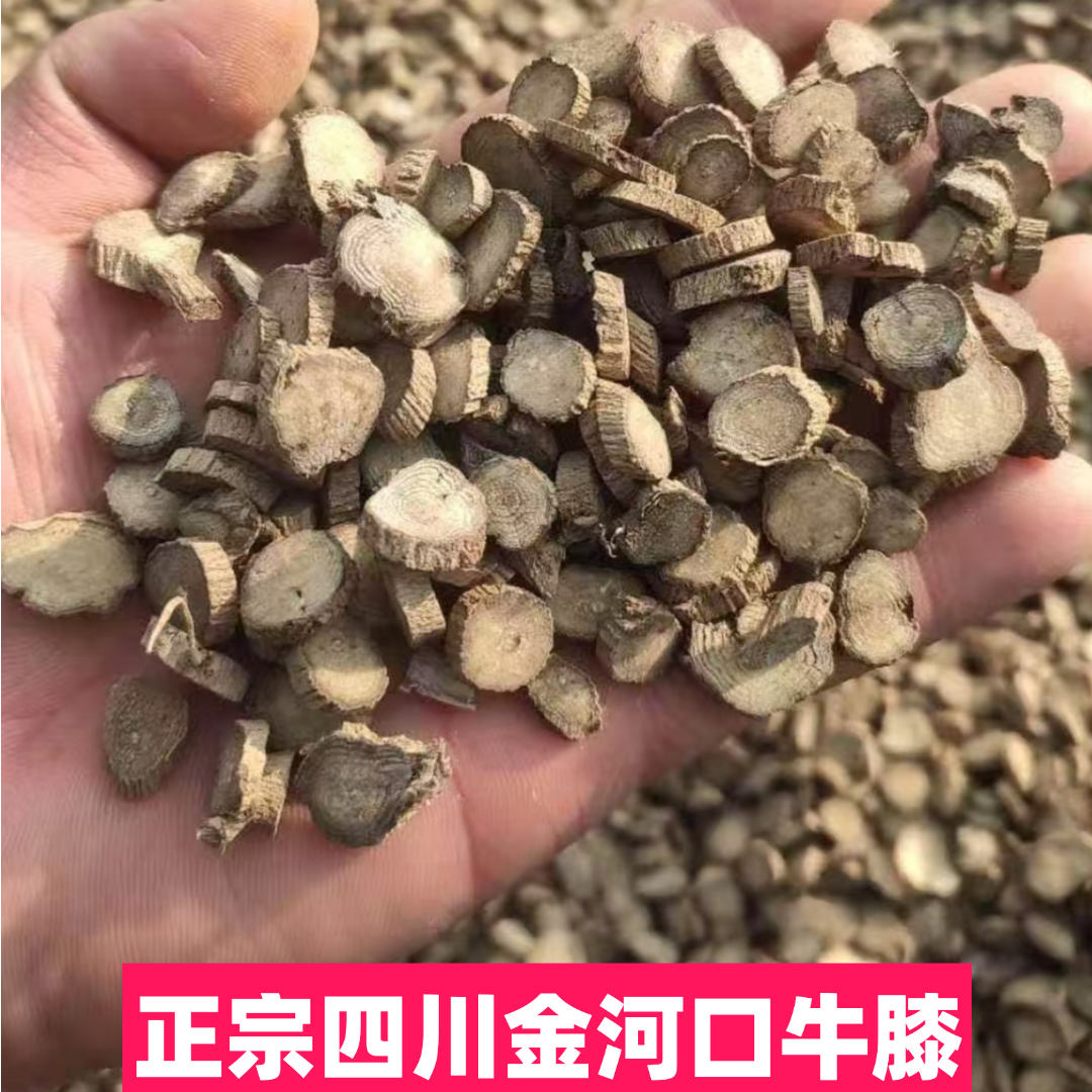 川牛膝无硫正宗四川金河口牛膝当季新货