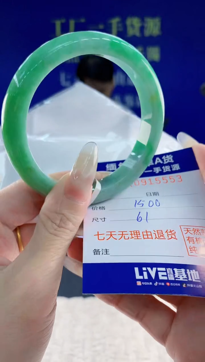 未镶嵌手镯翡翠53