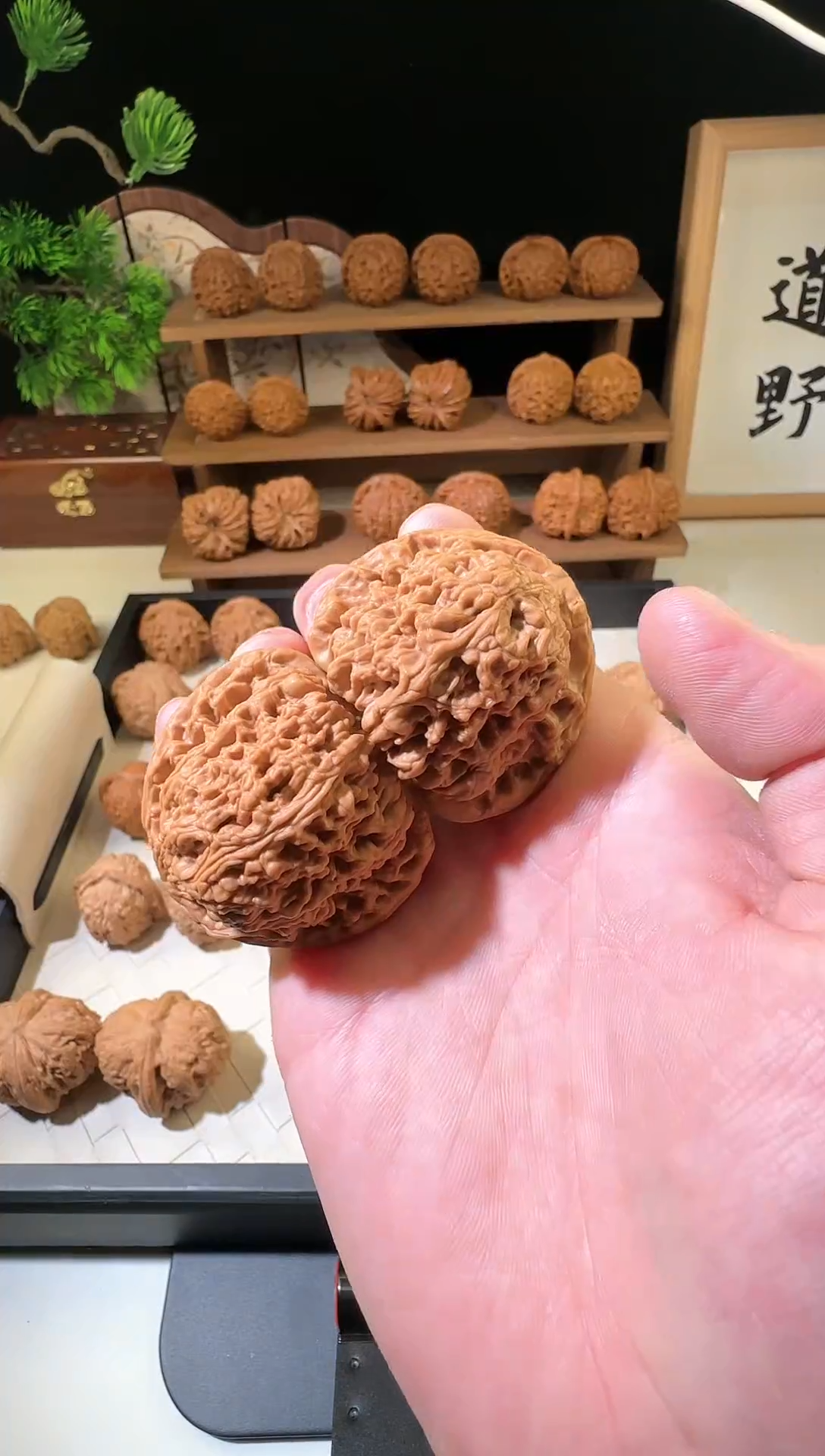 文玩核桃把件46+南疆石全品