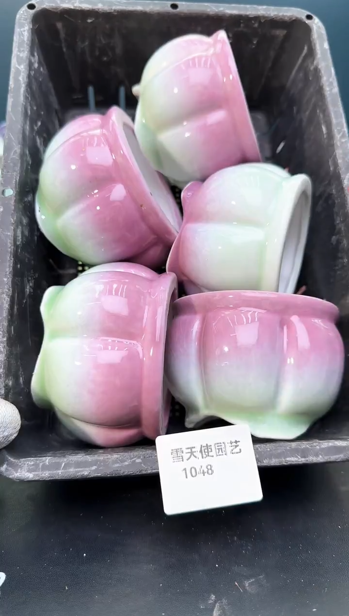 10 48 小南瓜盆 5 个默认微瑕
