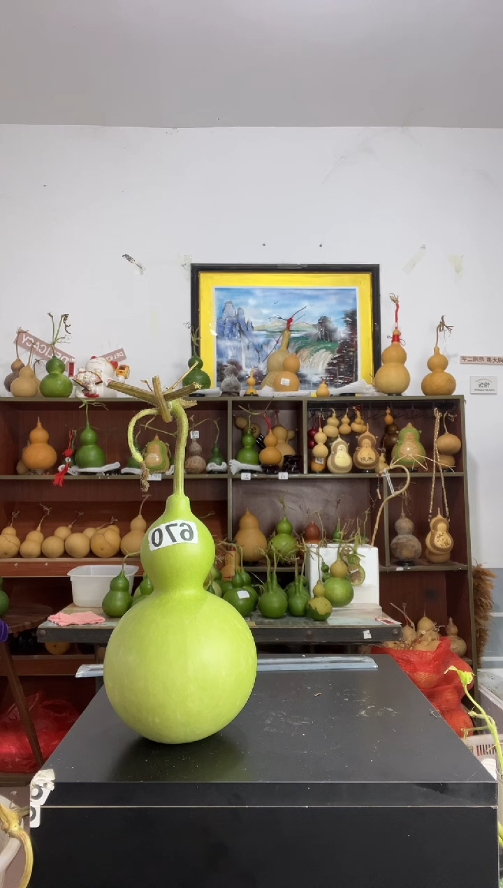 2****星670天然葫芦摆件 一物一拍龙头不保售后