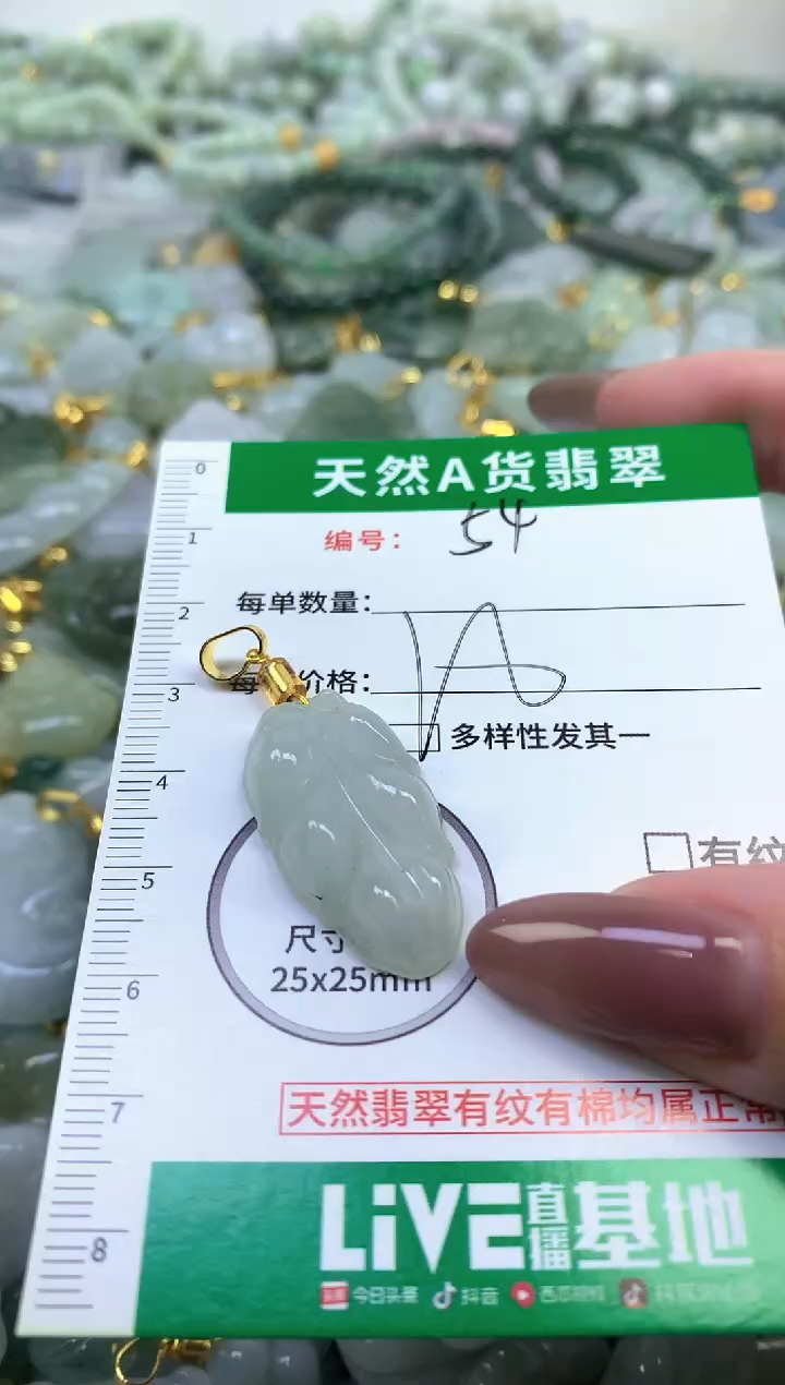 颈饰未镶嵌翡翠纯天然缅甸A货翡翠