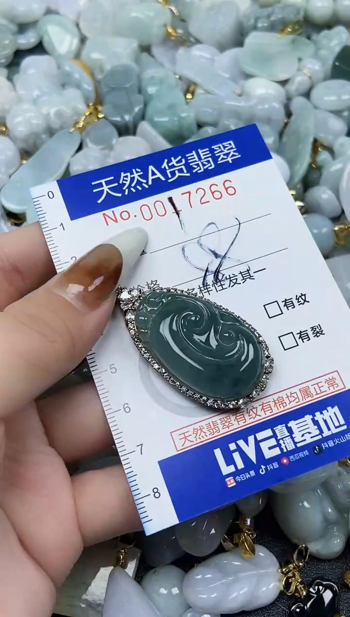 【闪购商品】翡翠颈饰未镶嵌天然A货翡翠