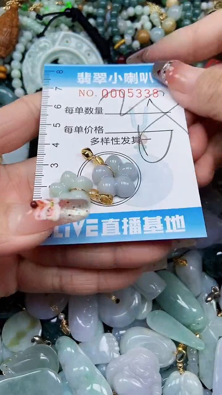 【闪购商品】翡翠颈饰未镶嵌闪购0005338多样性发其一